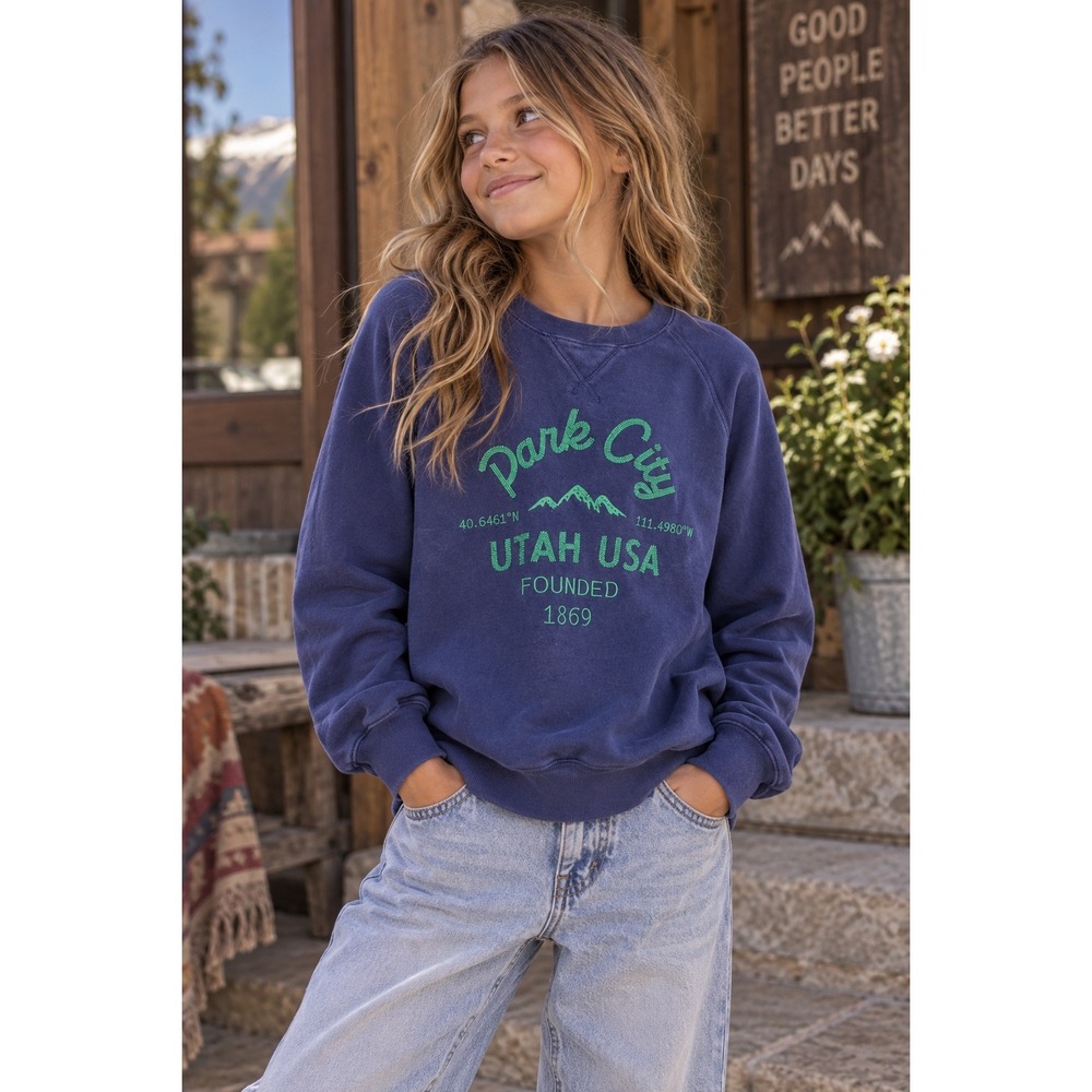 Crewcuts J.Crew Kids Park City Utah Graphic Sweatshirt Navy Blue XL 12-14